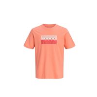 JACK&JONES 12289863_NA CT (M)